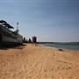 Collaroy Beach