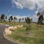 Barangaroo Reserve