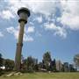 Barangaroo Reserve