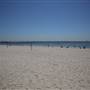 Brighton Le Sands Beach