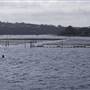 Merimbula