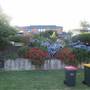 Kiama neighbourhood