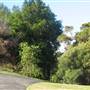 Kiama neighbourhood