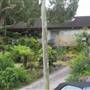 Bilgola Plateau neighbourhood