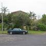 Bilgola Plateau neighbourhood