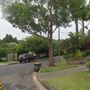 Bilgola Plateau neighbourhood