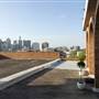 Rooftop City View Exterior Surry Hills
