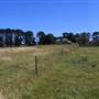 Private Property - Cardross Goulburn
