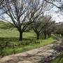 Private House - Crookwell
