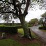 Coolangatta Estate - Nowra