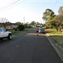 Rydalmere Houses