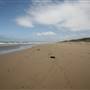 Cronulla Beach North End (Greenhills)