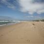 Cronulla Beach North End (Greenhills)
