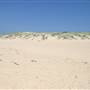 Wanda Beach