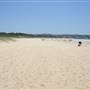 South Maroubra Beach