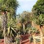Royal Botanic Garden Sydney