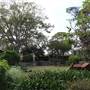 Royal Botanic Garden Sydney