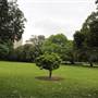 Royal Botanic Garden Sydney