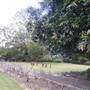 St Ignatius College, Riverview - Grounds/Sportsfields