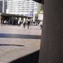 Circular Quay