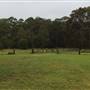 Prize Farm - Private Property Minimbah