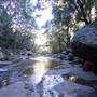Minnamurra Rainforest Walk - Budderoo National Park
