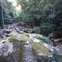 Minnamurra Rainforest Walk - Budderoo National Park