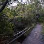 Little Collins Beach Sydney Harbour