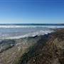 Frazer Beach Campground - Munmorah State Conservation Area