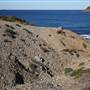 Munmorah State Conservation Area - Snapper Pt and Bongon Beach