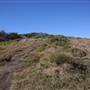 Munmorah State Conservation Area - Snapper Pt and Bongon Beach