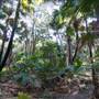 Munmorah State Conservation Area - Palms Picnic Area
