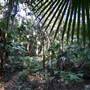 Munmorah State Conservation Area - Palms Picnic Area