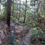 Munmorah State Conservation Area - Palms Picnic Area