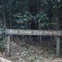 Red Cedar Flat picnic area