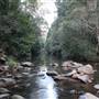 Red Cedar Flat picnic area