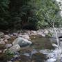 Red Cedar Flat picnic area