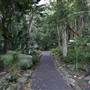 Mount Keira Scout Camp File 1