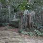Mount Keira Scout Camp File 1