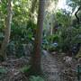 Mount Keira Scout Camp File 1