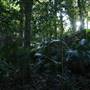 Mount Keira Scout Camp File 1