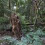 Mount Keira Scout Camp File 1