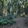 Mount Keira Scout Camp File 1