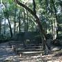 Mount Keira Scout Camp File 1