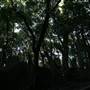 Mount Keira Scout Camp File 1