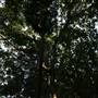 Mount Keira Scout Camp File 1
