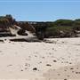 Long Reef Beach