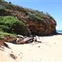 Turimetta Beach
