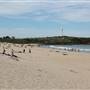 Wollongong City Beach