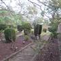 Rookwood Cemetery